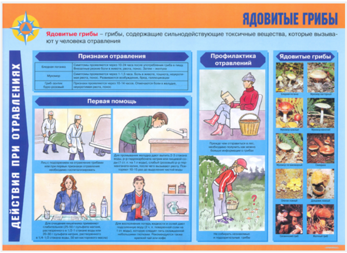 плакаты первая медицинская помощь купить в Дзержинском